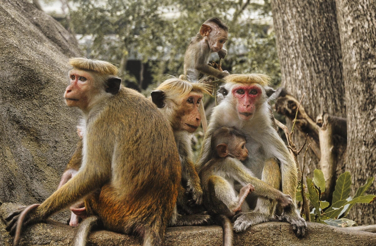 Family Portrait